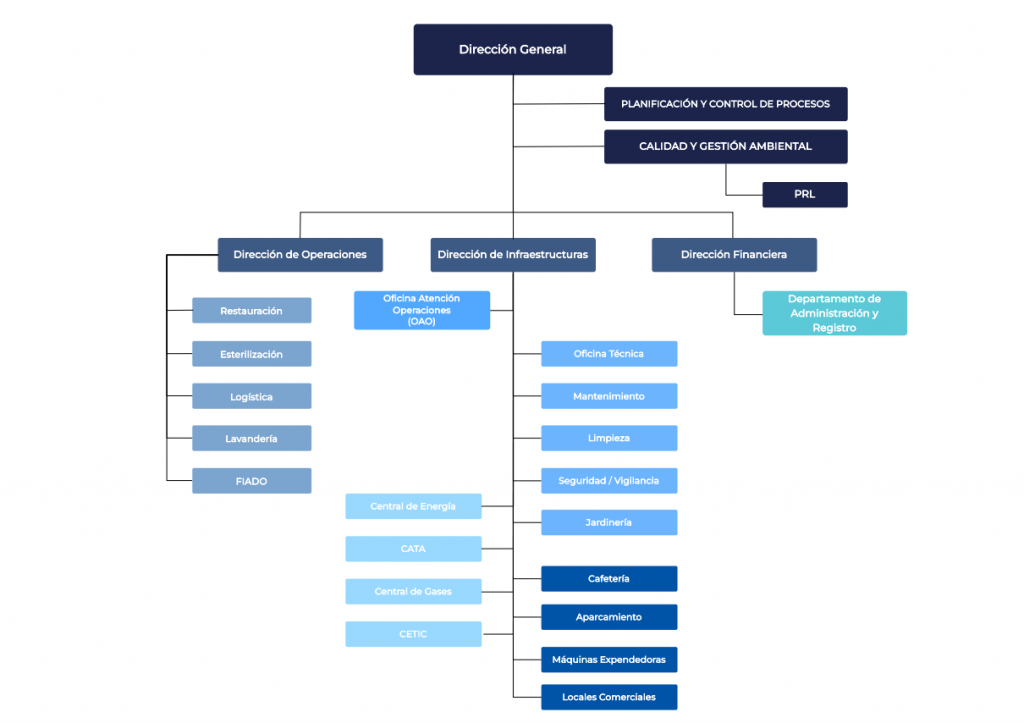 Organigrama de Eficanza